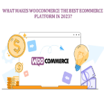 <strong>What Makes WooCommerce the Best eCommerce Platform in 2023?</strong>